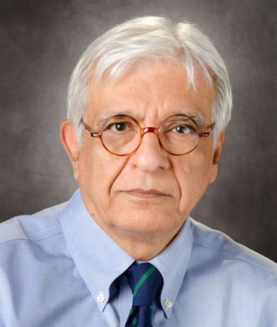 Adel El Naggar